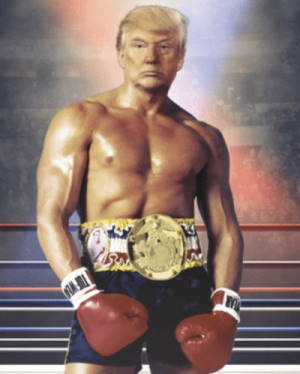 Trump Boxeur